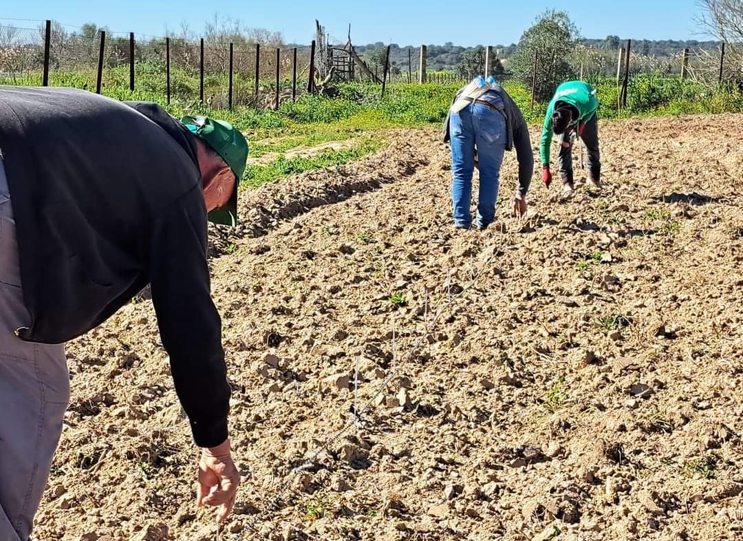 Screenshot_20240304_092453