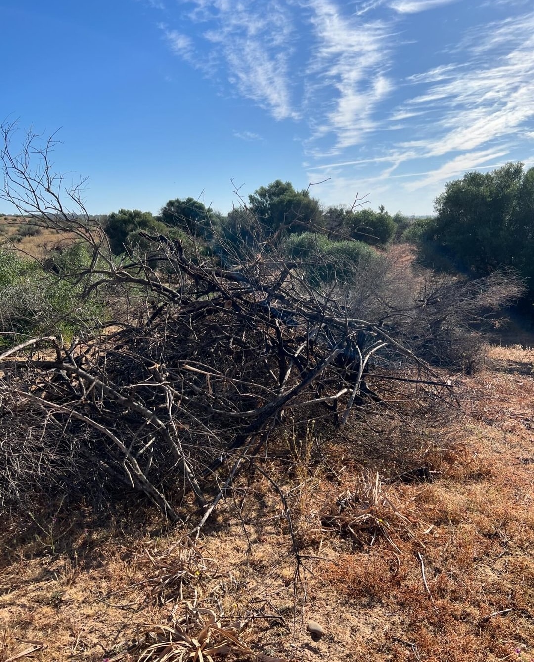 Screenshot_20240520_092549_com.facebook.katana_edit_1019250497997074