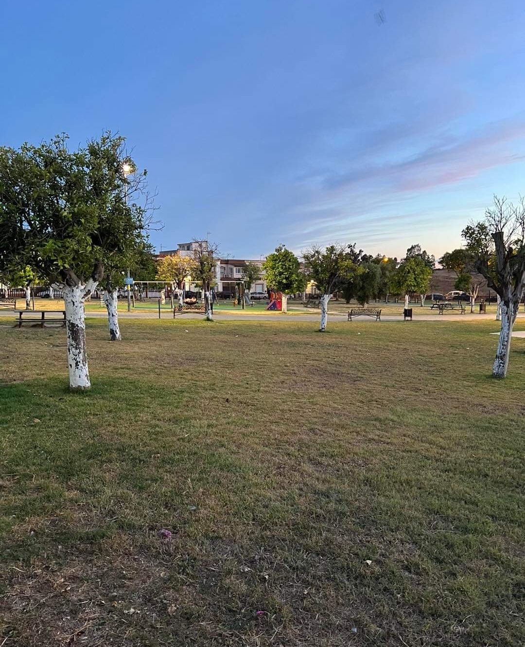 Screenshot_20240701_111712_com.facebook.katana_edit_3383177948474385