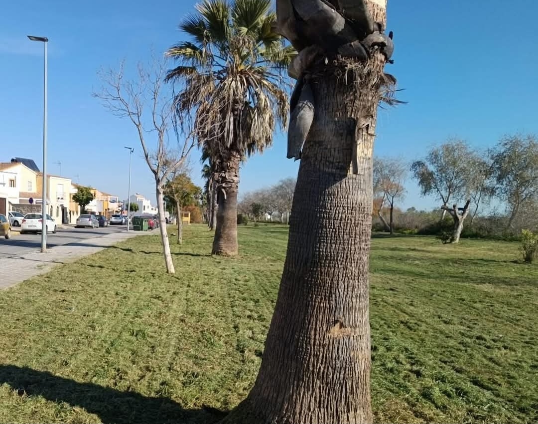 Screenshot_20250108_191155_com.facebook.katana_edit_5119667777046399