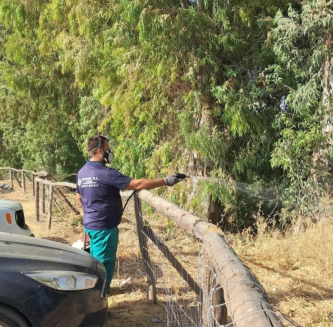 Screenshot_20250618_120812_com.facebook.katana_edit_7443746233845404