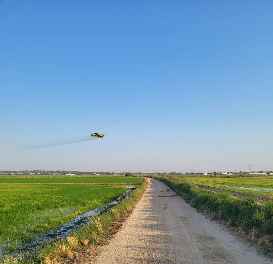 Screenshot_20250701_095226_com.facebook.katana_edit_8069970192890473