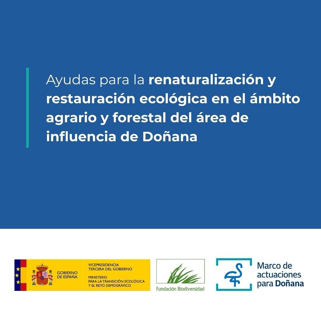 Screenshot_20251030_090529_com.facebook.katana_edit_14483730745982110